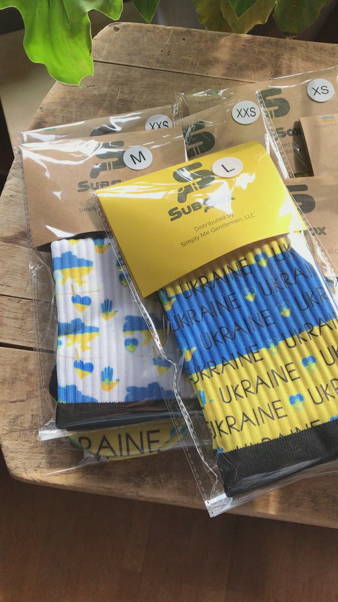 Support Ukraine Gnomes No-Show Socks