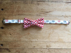 Boy's Bow Tie ~ Red Checkered
